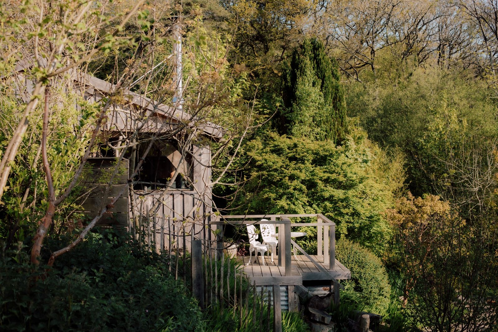 The Writers Cabin, Dorset — deck and garden view